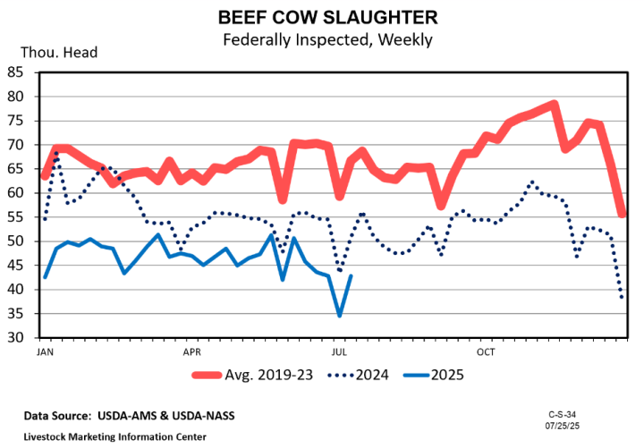 Beef Cow Slaughter will be the Inventory Driver for the Rest of 2025