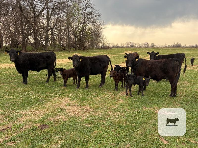 Cattle Range Listing Photo