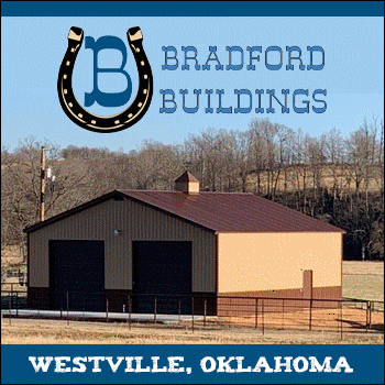 Bradford Buildings