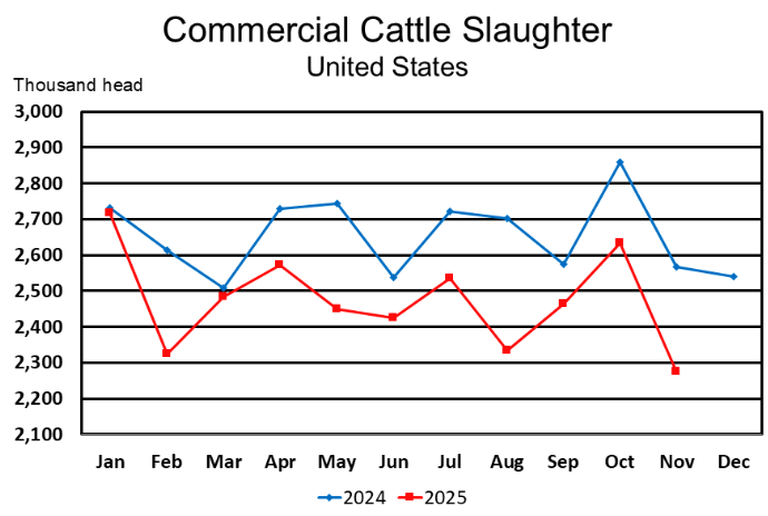 December Livestock Slaughter Report shows Lower Production