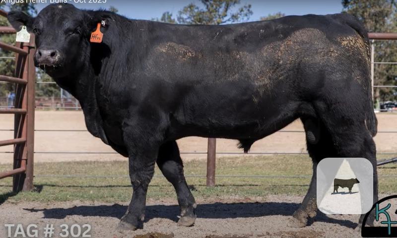 Cattle Range Listing Photo 3