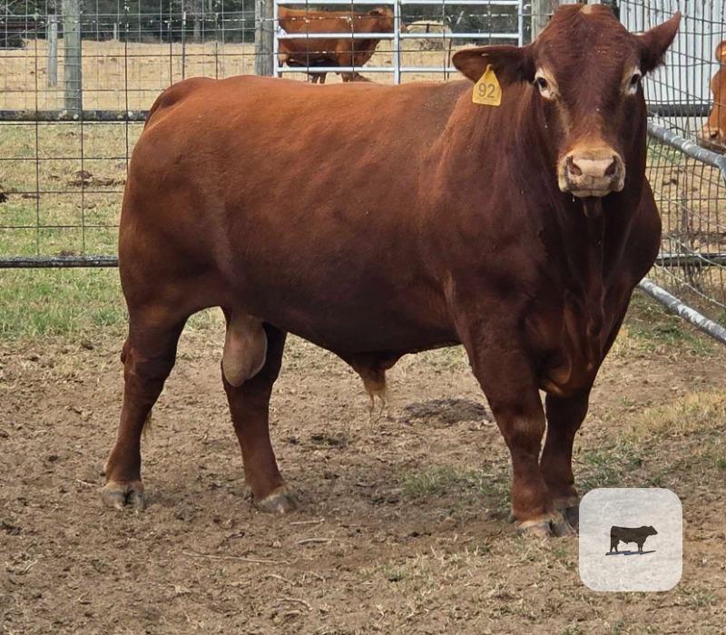 Cattle Range Listing Photo