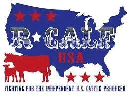 R-Calf USA: Another Round with an Industry Consultant