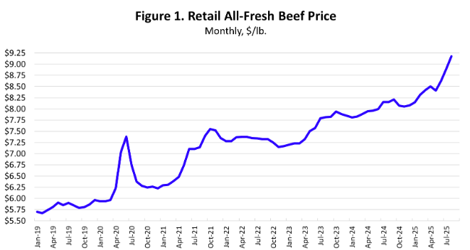 High Beef Prices Continue into Fall