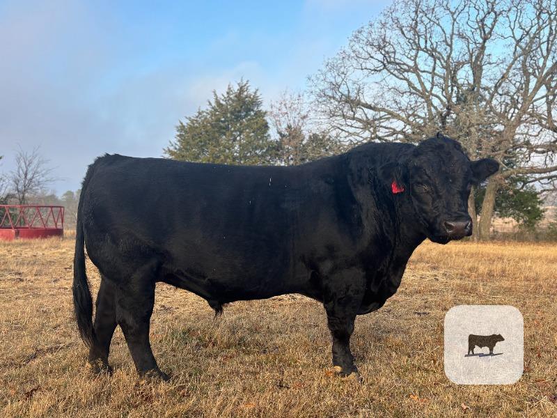 Cattle Range Listing Photo