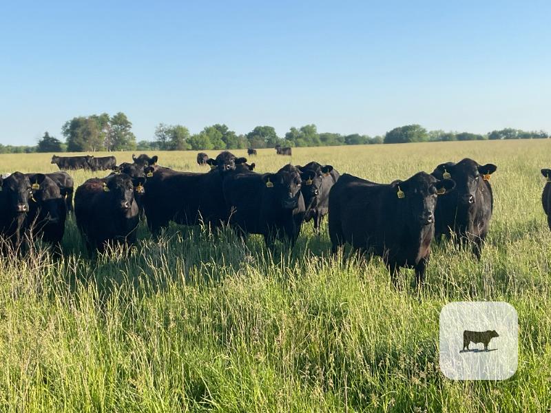 Pasture & Range Conditions as of 6/1/25