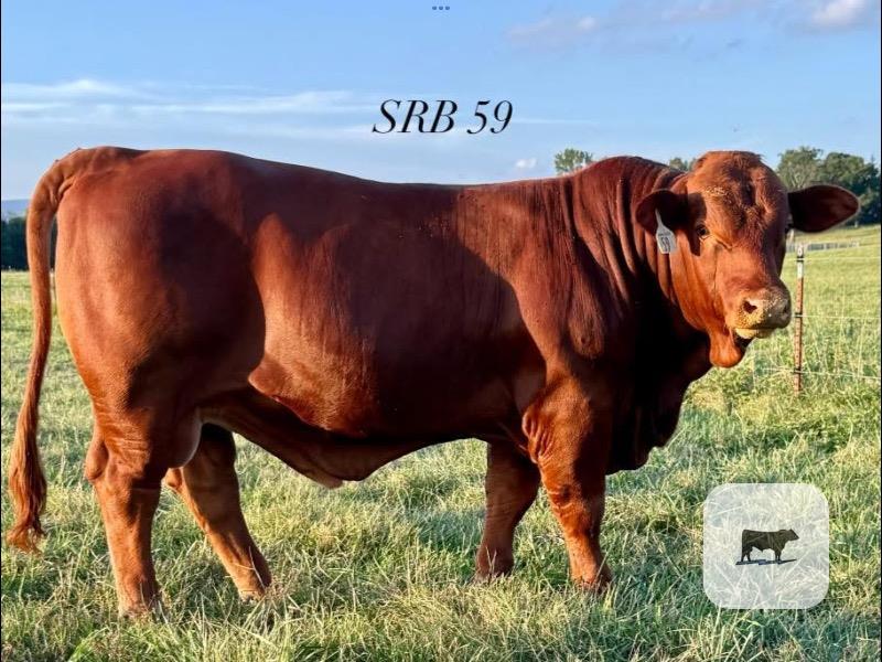 Cattle Range Listing Photo