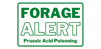 Prussic Acid Precautions needed during Periods of Drought