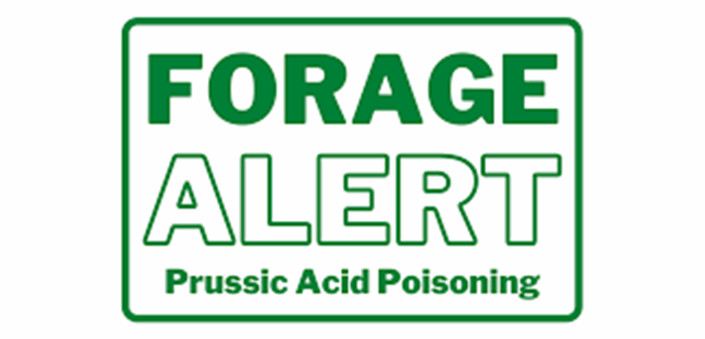 Prussic Acid Precautions needed during Periods of Drought