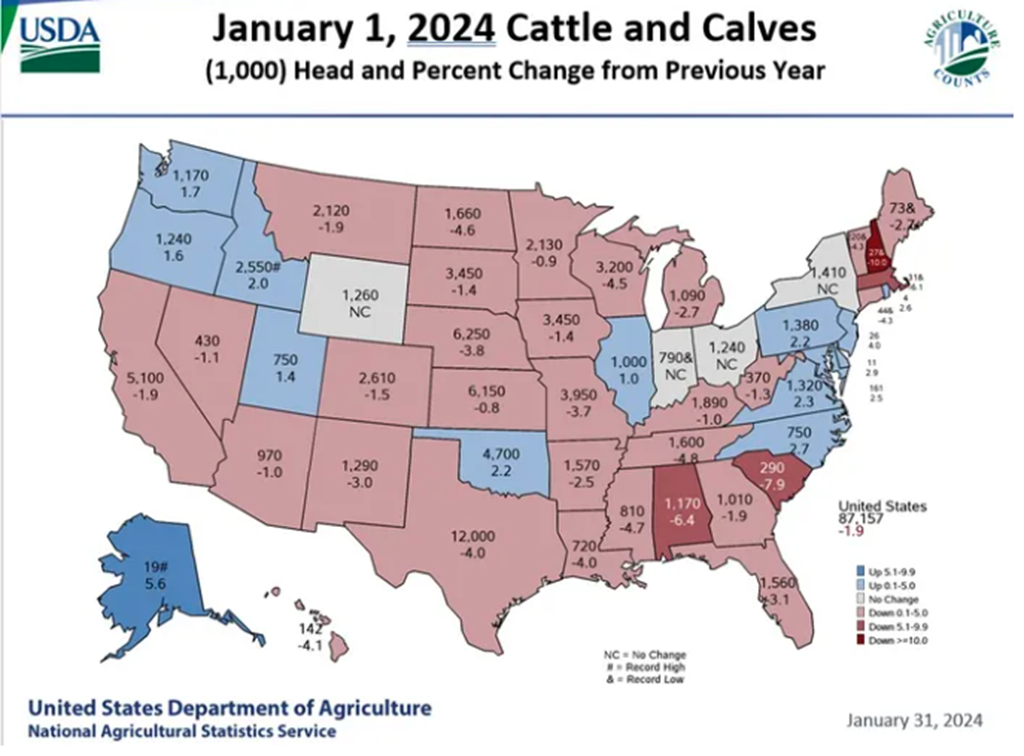 USDA Cattle Inventory Report State Rankings & Changes from 2023 Cattle Range
