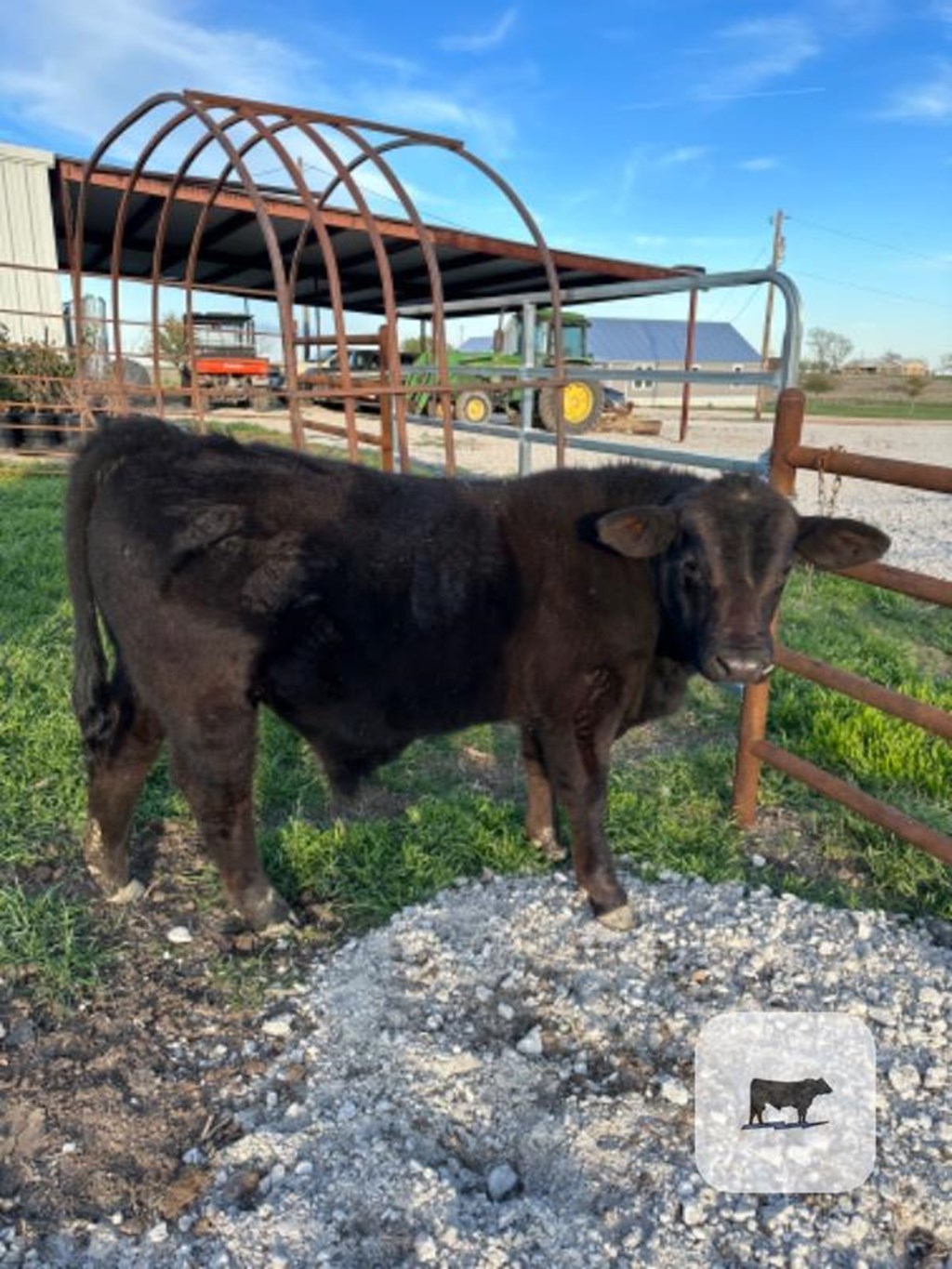 Cattle Range Listing Photo