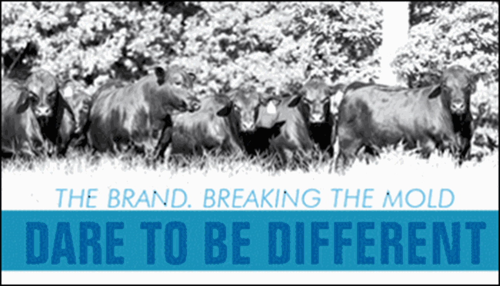 GenePlus Dare to be Different Sale