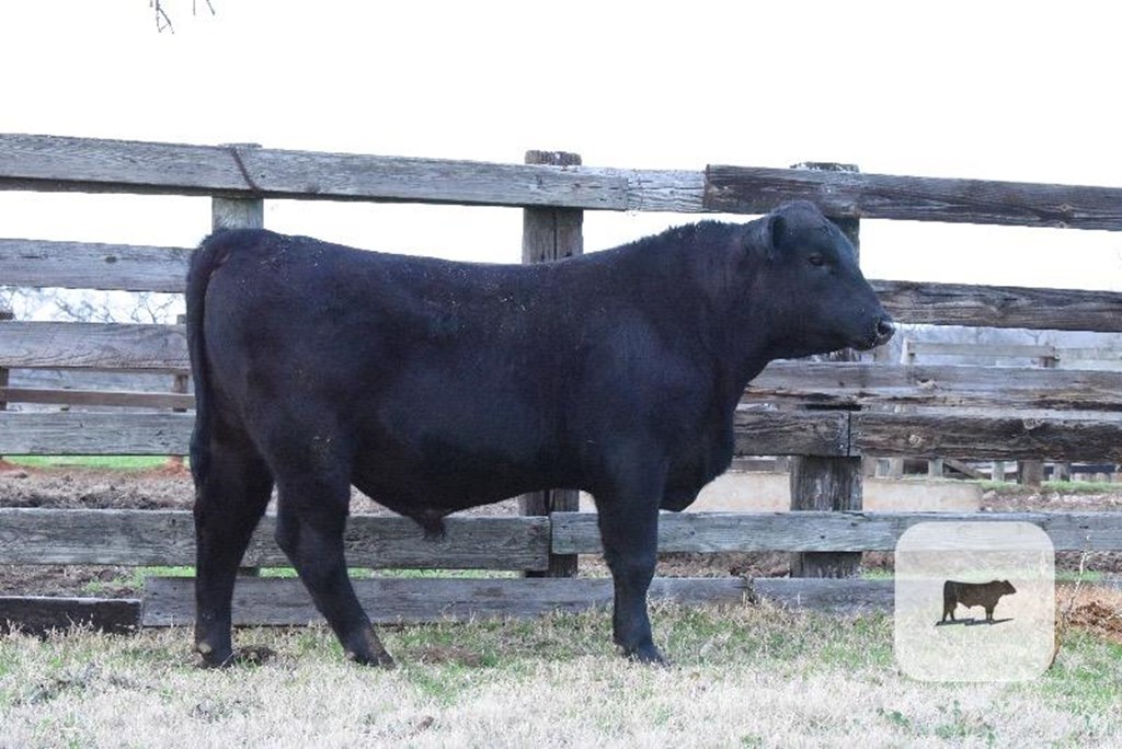 Cattle Range Listing Photo