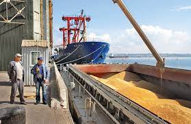 Ukraine shuts Ports as Conflict threatens Grain Supplies