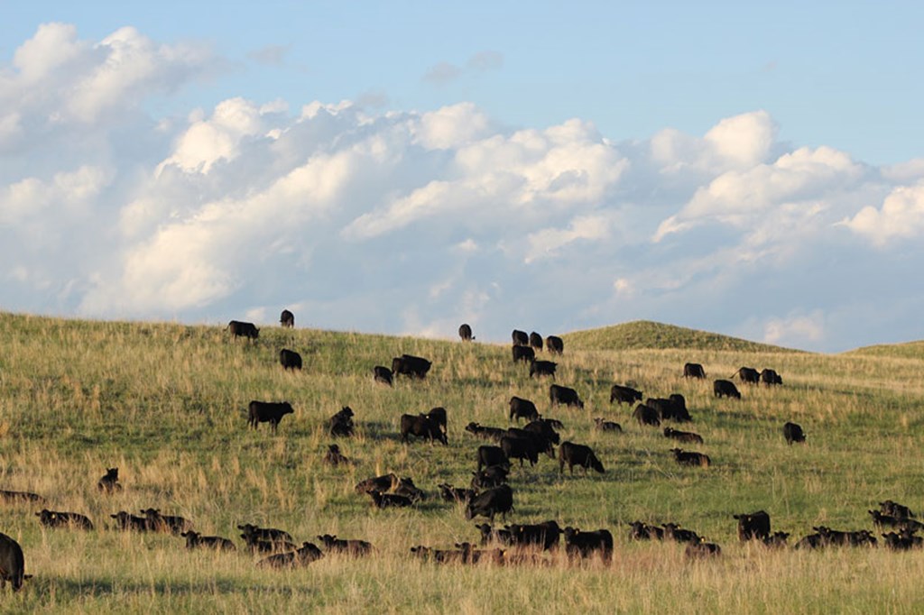 Pasture & Range Conditions as of 9/18/22