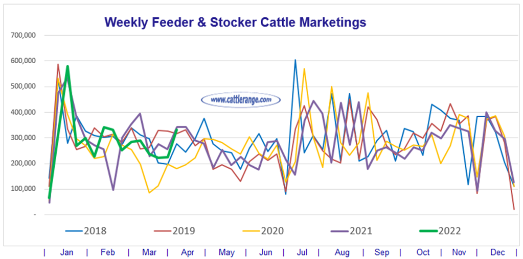 Weekly Feeder & Stocker Cattle Marketings for week ending 4/9/22