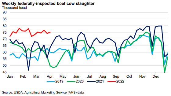 USDA Beef/Cattle Outlook