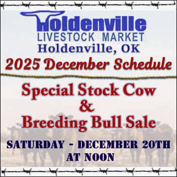 Holdenville Livestock Market Special Stock Cow & Breeding Bull Sale