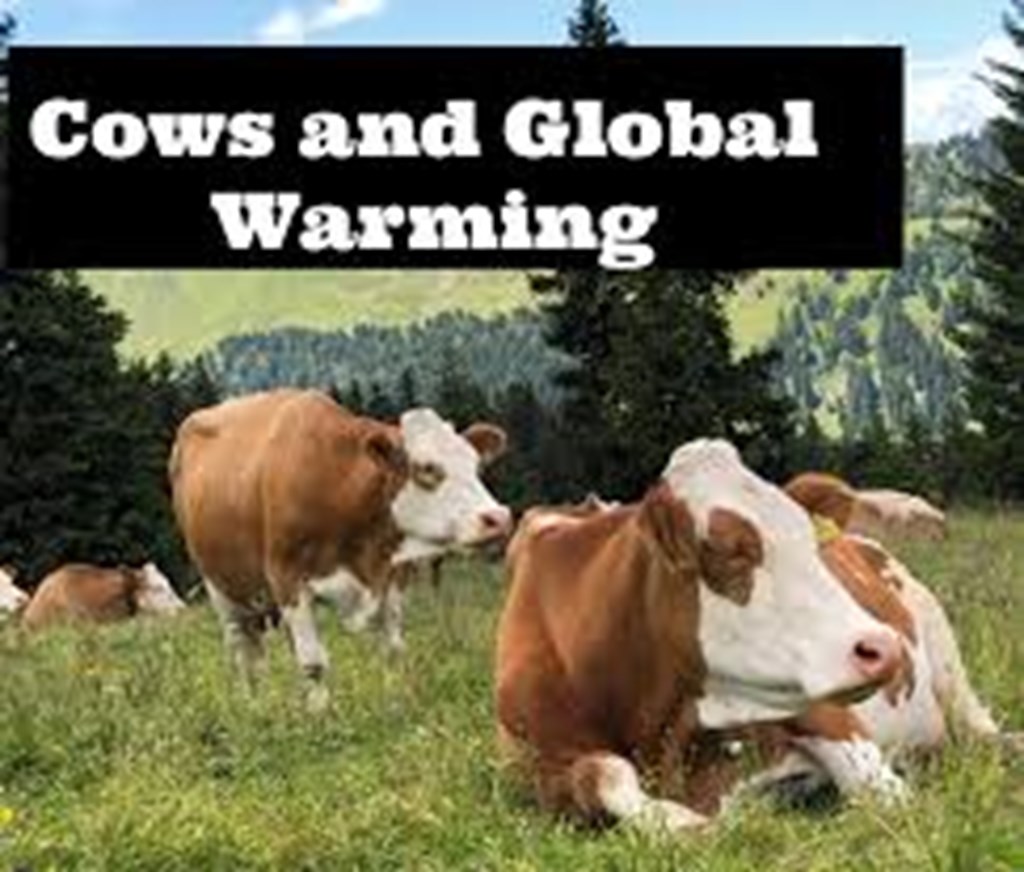 Investor Group Warns that Livestock Industry Needs to Do More on Methane