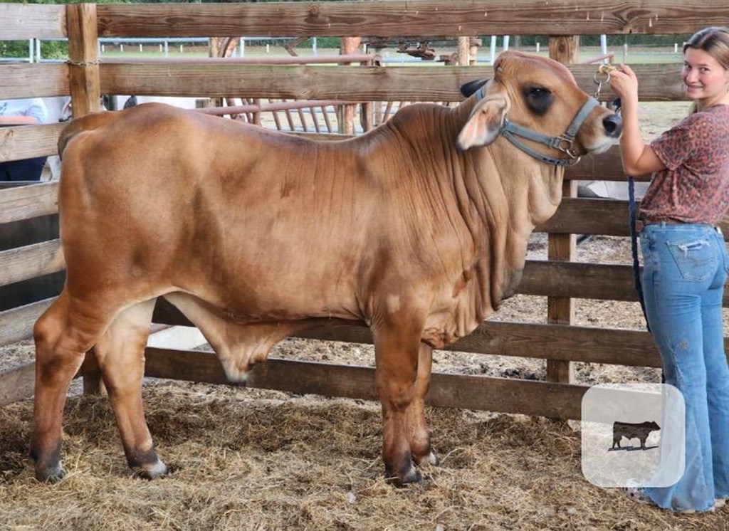Cattle Range Listing Photo