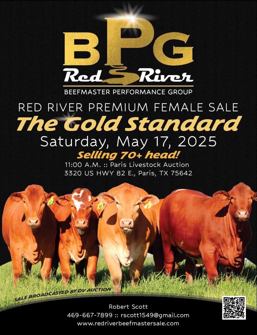 Heirs List One Of America s Largest Ranches In New Mexico For 142