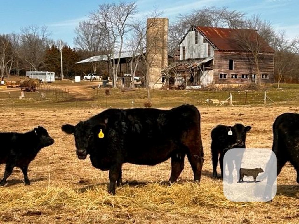 Cattle Range Listing Photo