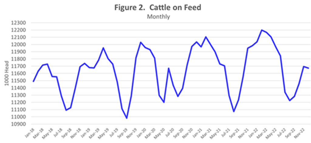 Different Feedlot Dynamics in 2023