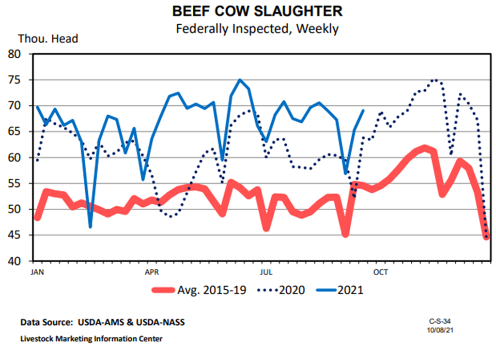 2021 Slaughter of Beef Cows & Heifers Continues Higher than in 2020