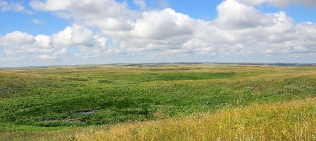 Pasture & Range Conditions as of 7/2/23