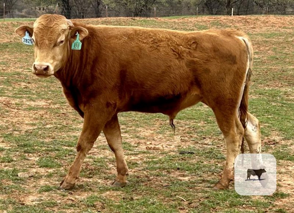 Cattle Range Listing Photo