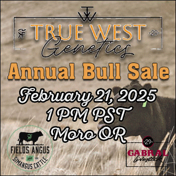 True West Genetics Annual Bull Sale