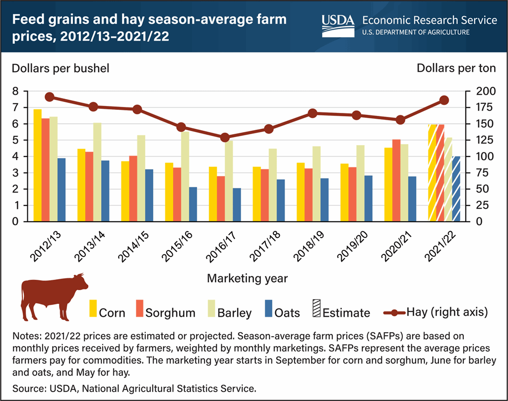 Feed Grains & Hay Prices: 2012/13 thru 2021/22