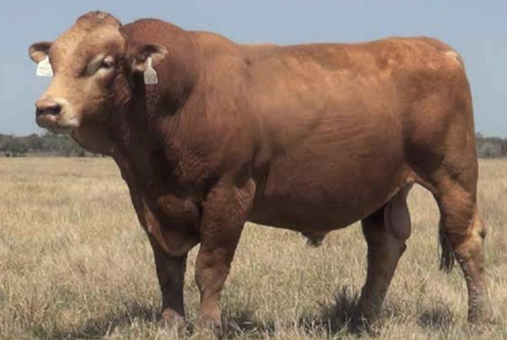 Cattle Range Listing Photo