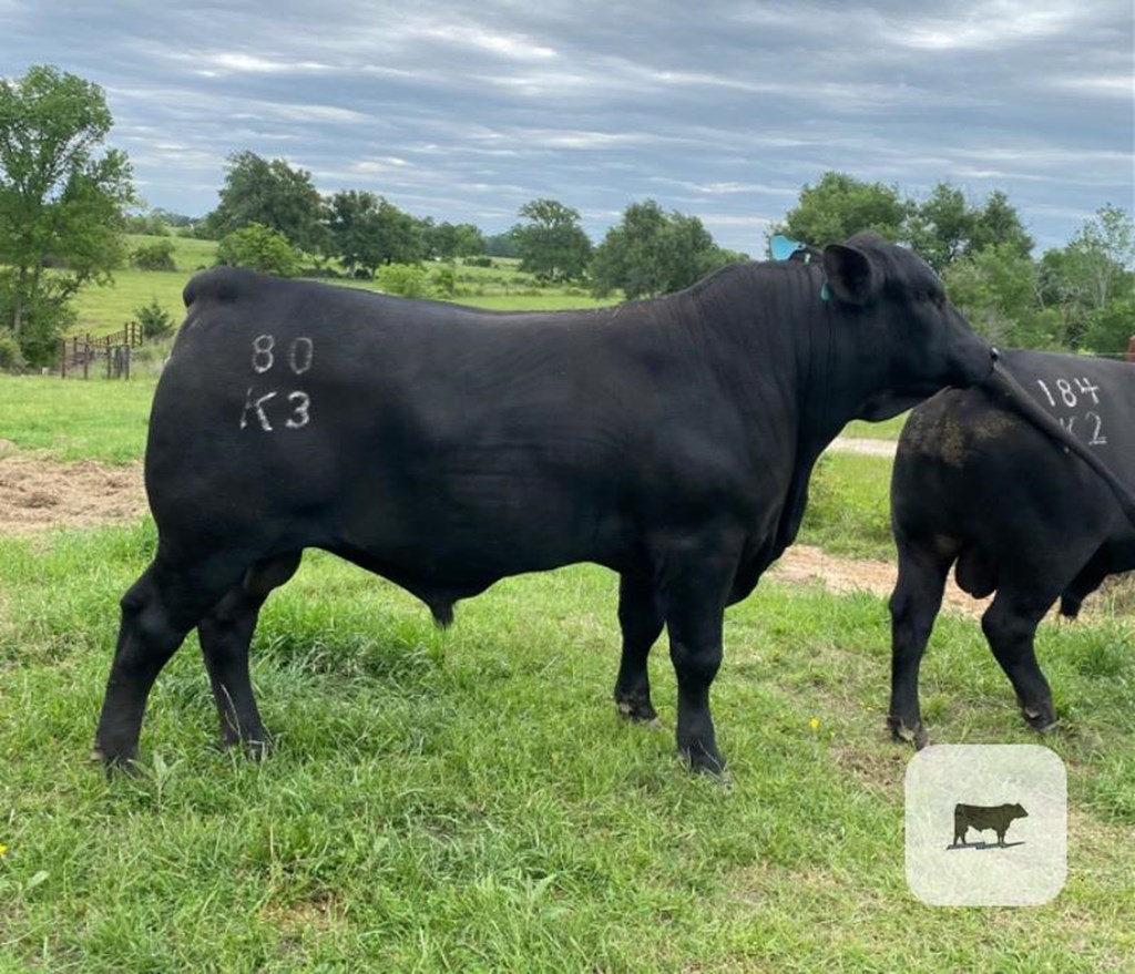 Cattle Range Listing Photo