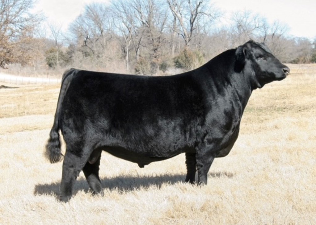 Cattle Range Listing Photo