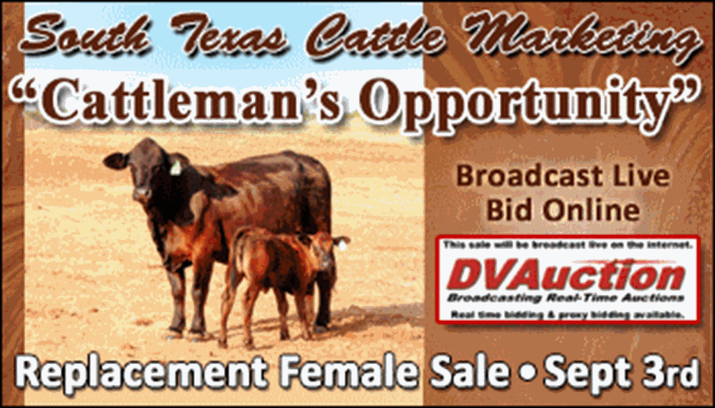 SS-South Texas Cattle Marketing "Cattleman's Opportunity" Replacement Female Sale-09-03-2022