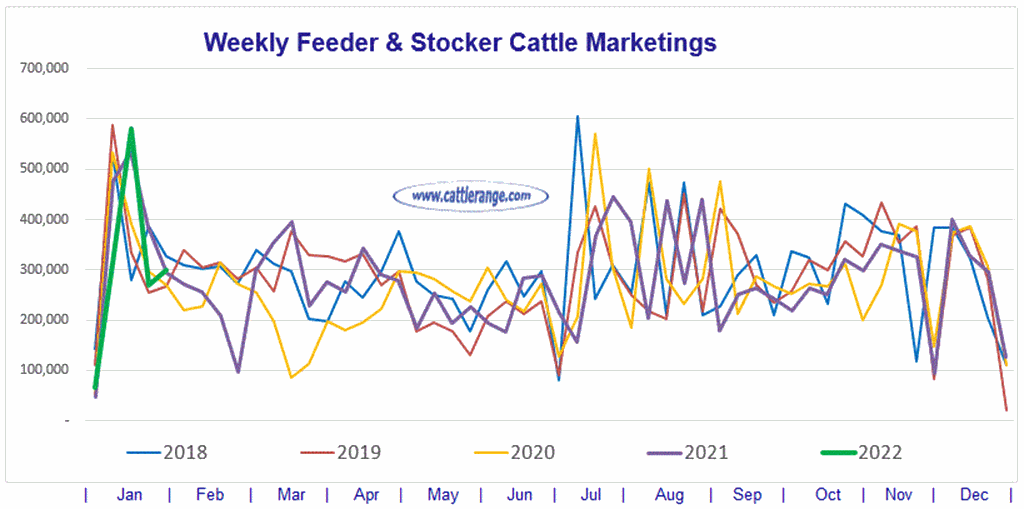 Weekly Feeder & Stocker Cattle Marketings for week ending 01/29/22