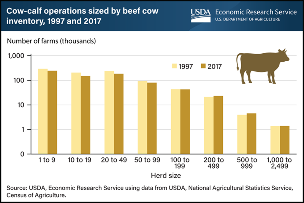 Smaller Cow-Calf operations Outnumber Large Operations but Herd Sizes have Increased