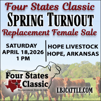 LBJ Cattle Marketing Four States Classic Spring Turnout Replacement Female Sale