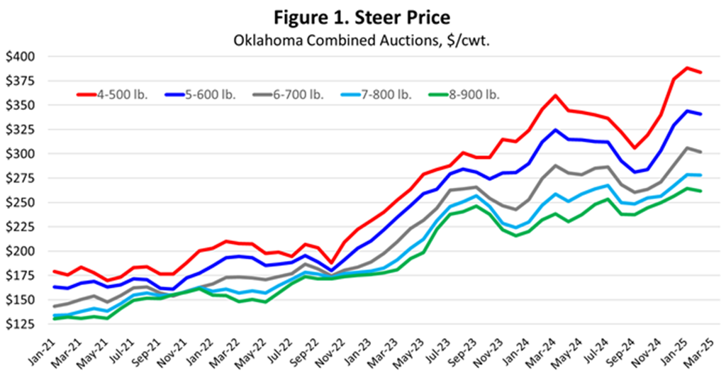 The Role of Stockers in Today’s Cattle Market