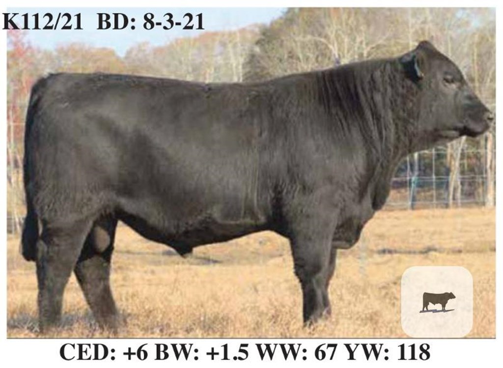 Cattle Range Listing Photo