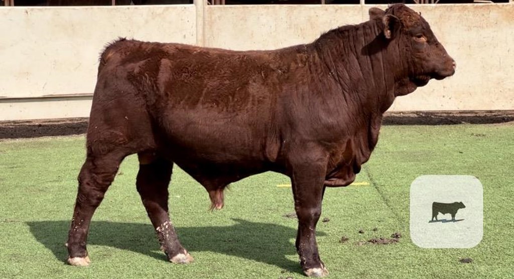 Cattle Range Listing Photo