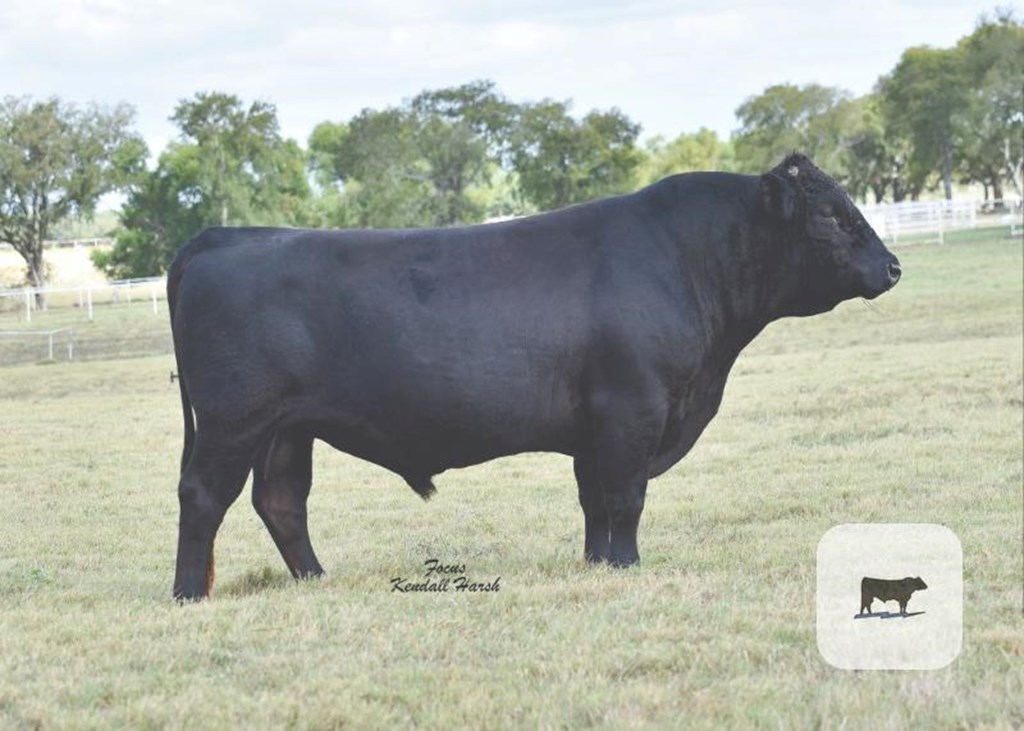 Cattle Range Listing Photo
