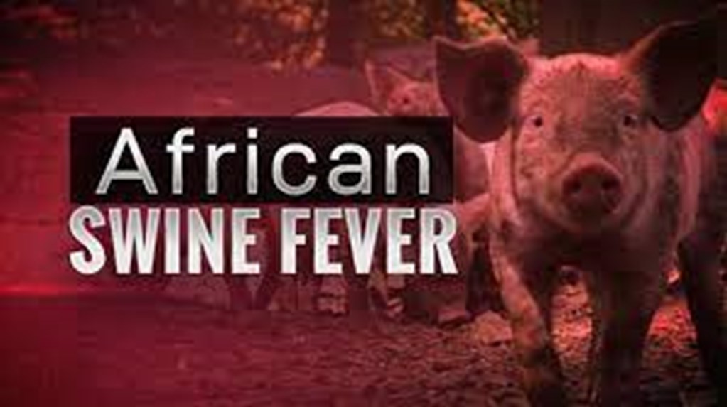 African Swine Fever Confirmed in Germany