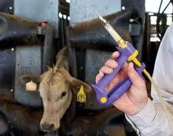 U.S. Short on Livestock Medications & Feed Additives