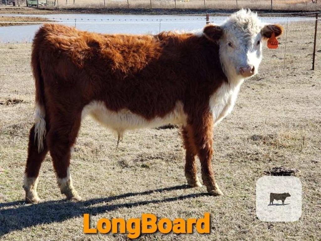 Cattle Range Listing Photo