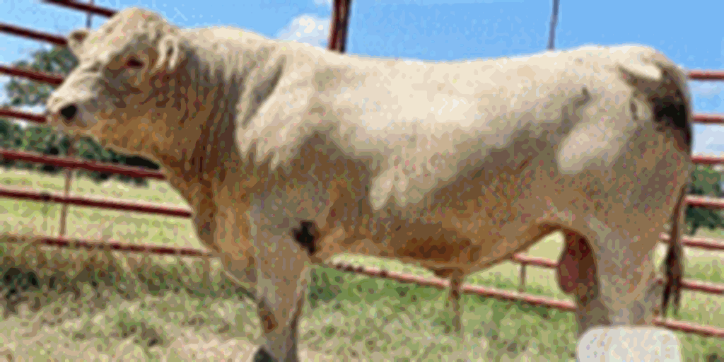 Listings Cattle Range