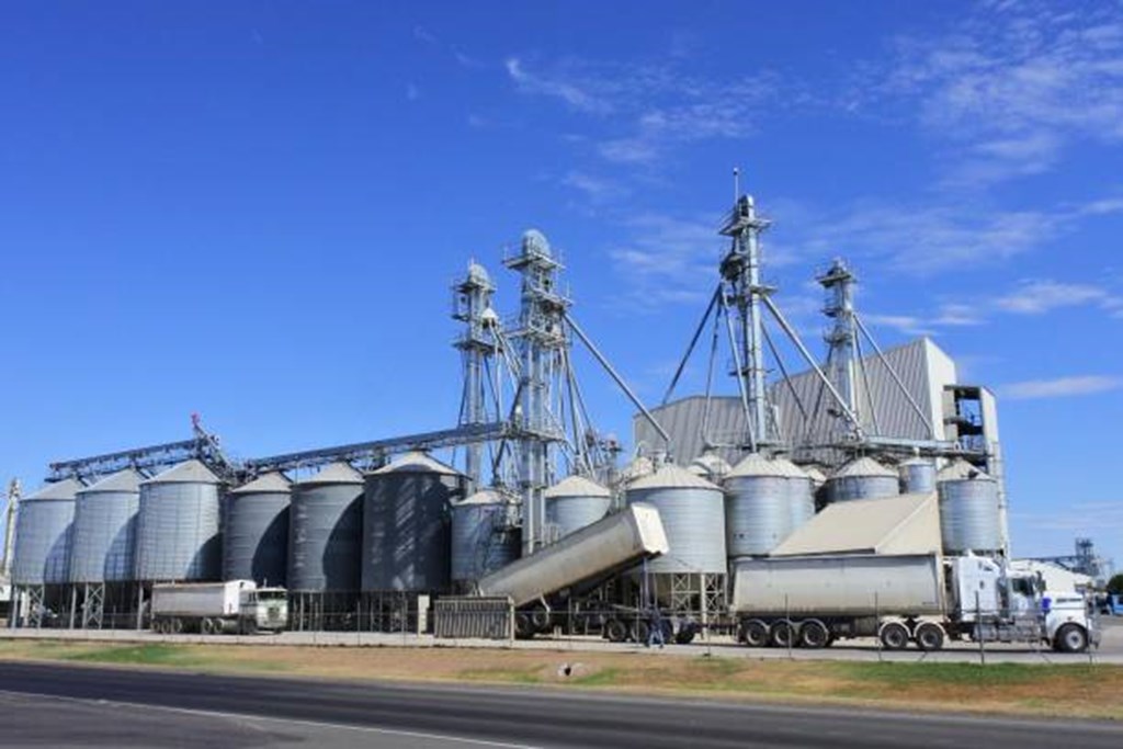 U.S. Feed Grain Supplies Trimmed on Lower Corn and Sorghum Output
