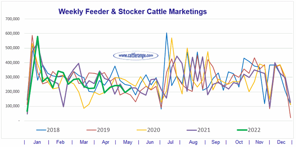 Weekly Feeder & Stocker Cattle Marketings for week ending 5/21/22