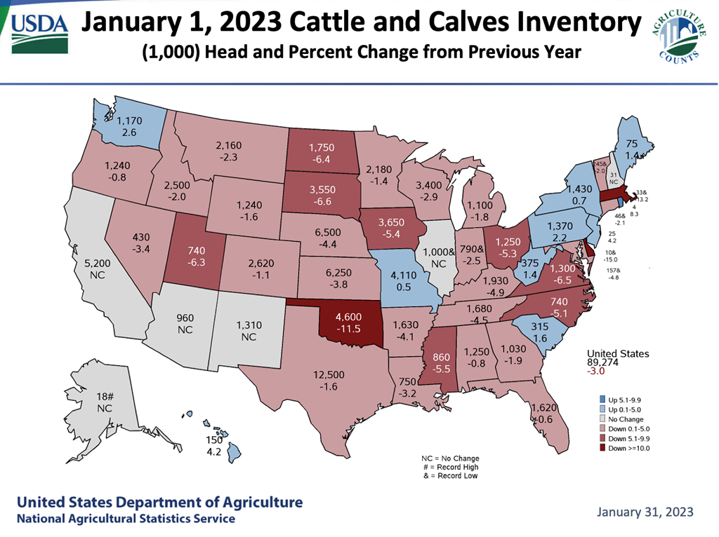 USDA Cattle Inventory Report: State Rankings & Changes from 2022